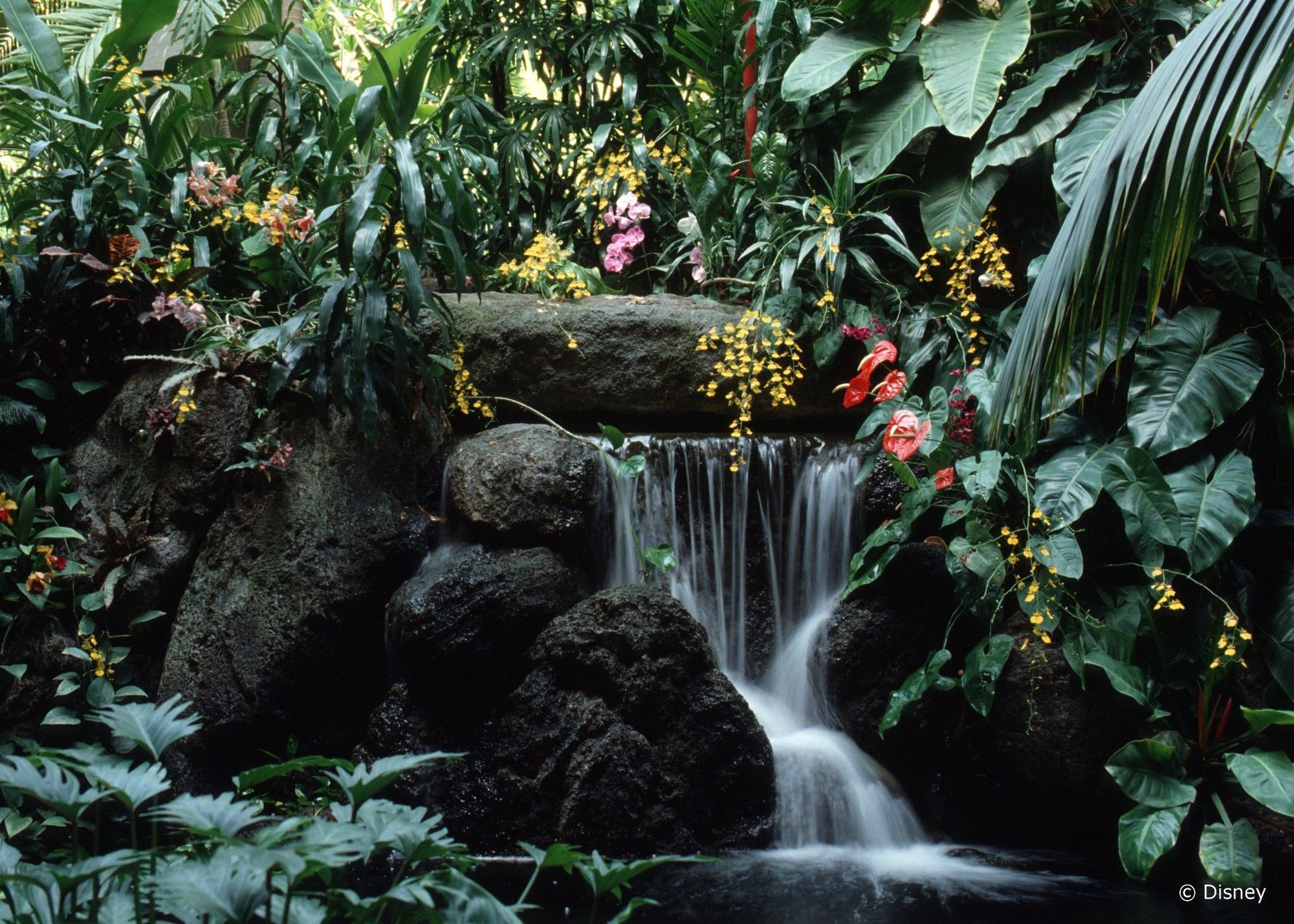 Resort Disney's Polynesian Village Orlando