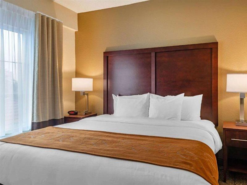 Hotel Comfort Downtown