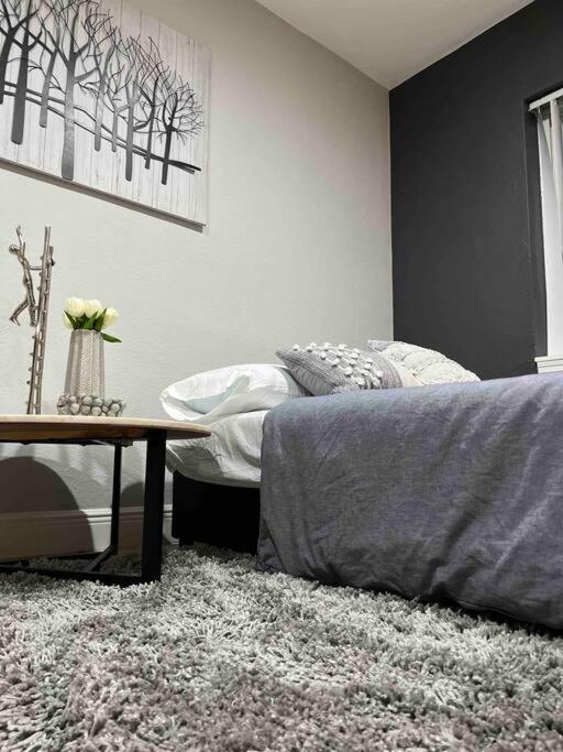 Casita, King Bd/sofa Bd/bth/kitch/netflix Disney+ Apartment Orlando