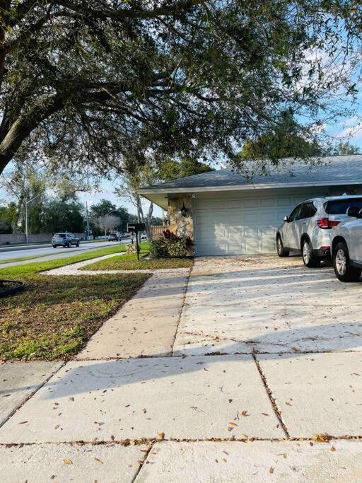 Entire Deluxe Studio In Near Disney Universal Studio Airpot And The Convention Center Apartment *