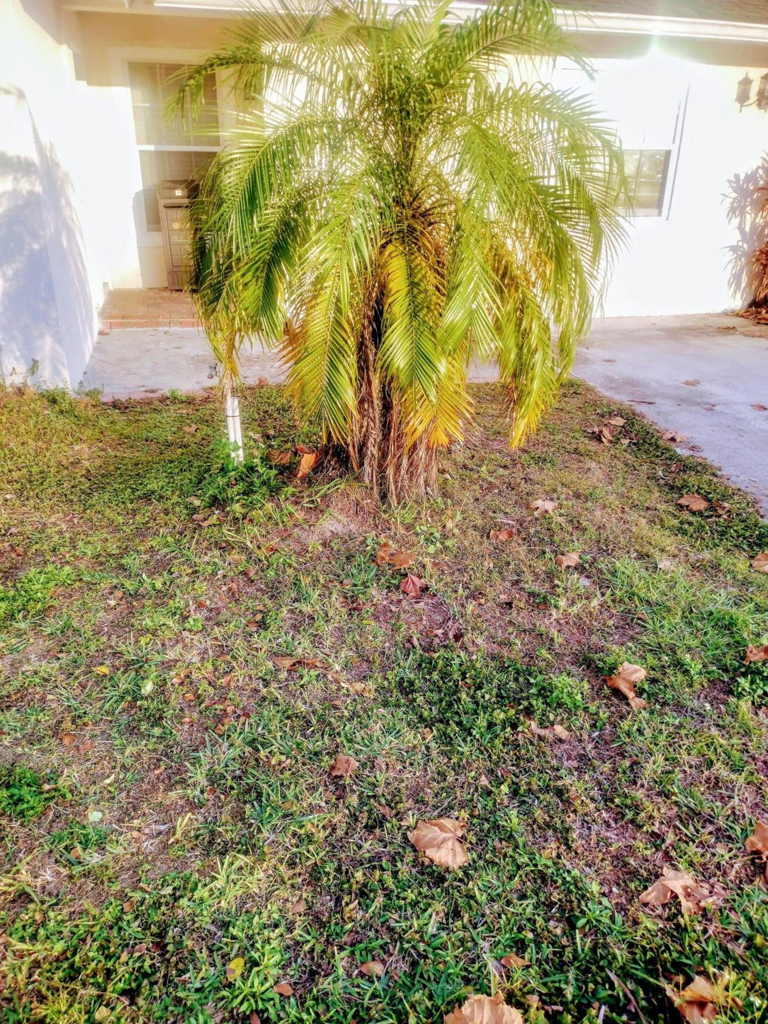 A Peaceful Living Vibe Holiday home Orlando