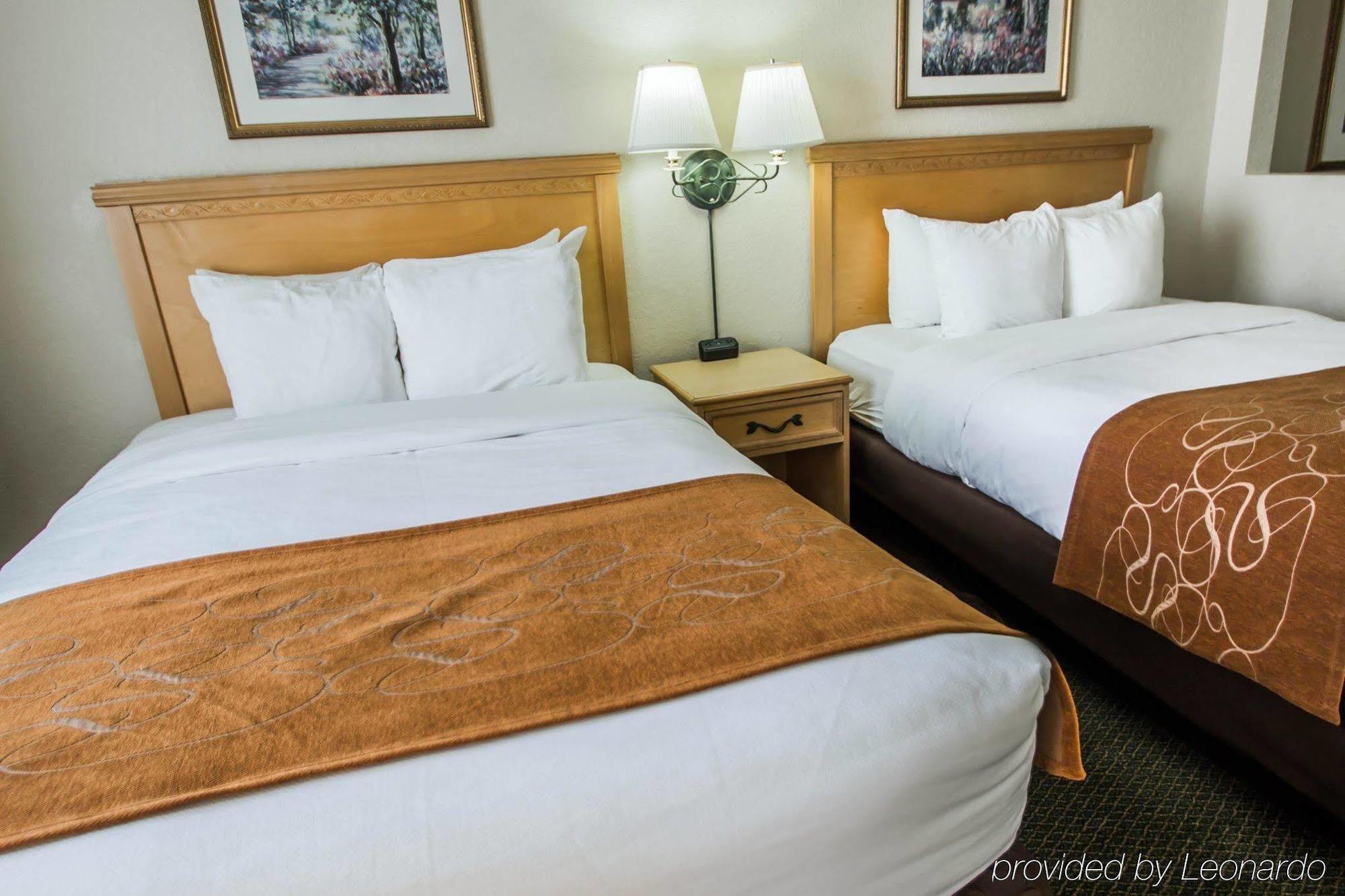 Comfort Downtown Hotel 3*