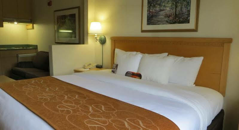 Hotel Comfort Downtown 3*