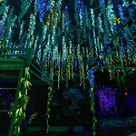 November Deal! Tiki Tropical Oasis & Mini Golf