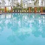 Enjoy Your Am Coffee In Resort Relaxation Garden In This Great 1Bd Condo In Orlando