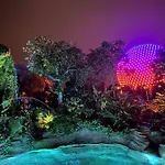 Viz Cay 4816