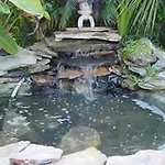 The Veranda Bed & Breakfast