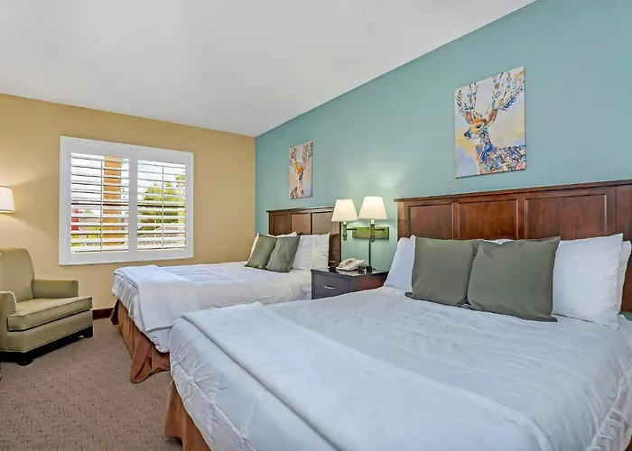 Near Disney - 1Br With Two Queen Beds - Pool And Hot Tub