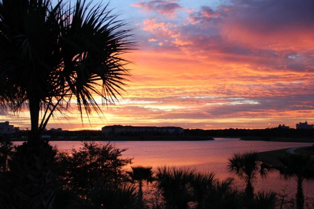 Stylish Vista Cay Luxury Oasis Near Theme Parks Walk To The Convention Center And Int'l Drive
