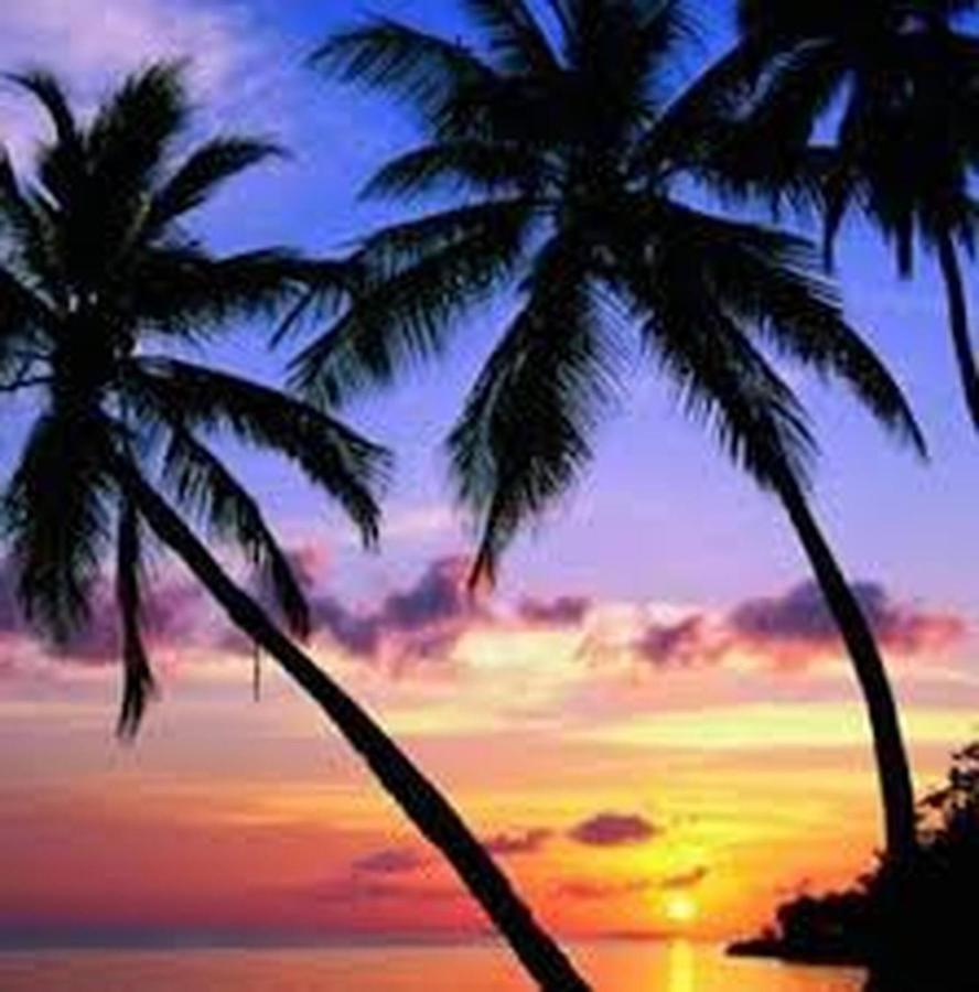 Near At The Margaritaville *