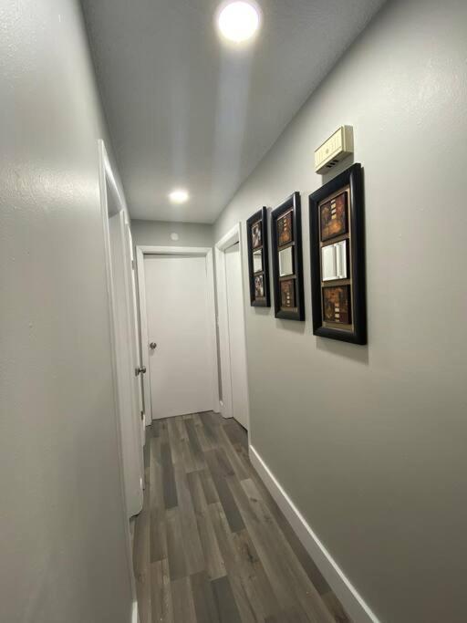 Modern And Stylish 10 Minutes From Mco Airport Holiday home