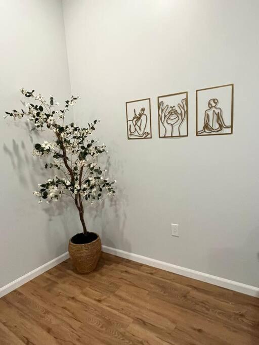 Chic, Spacious, Cozy Great Location! Apartment *