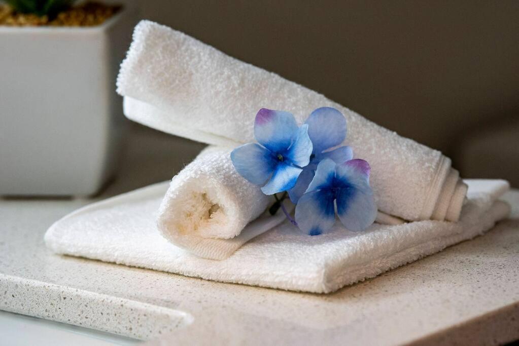Holiday home Cozy 3bd 3bath @hiddenforest With Pool
