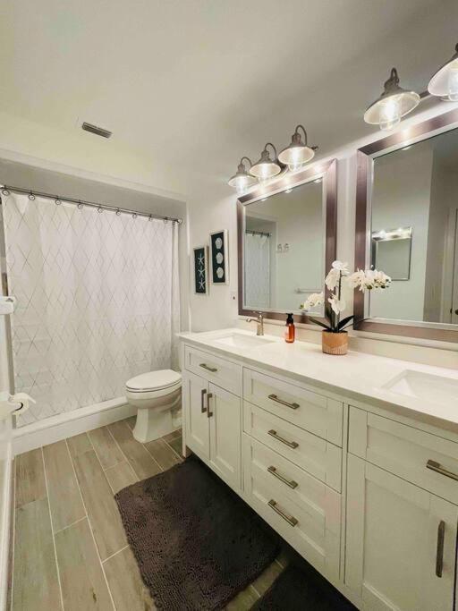 Apartment Entire Deluxe Studio In Near Disney Universal Studio Airpot And The Convention Center