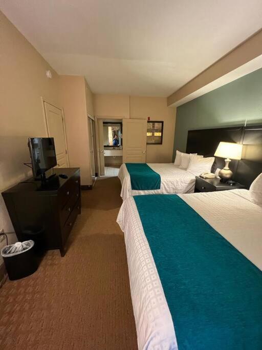 Lovely Entire With Kitchen 5 Min To Disney Apartment *