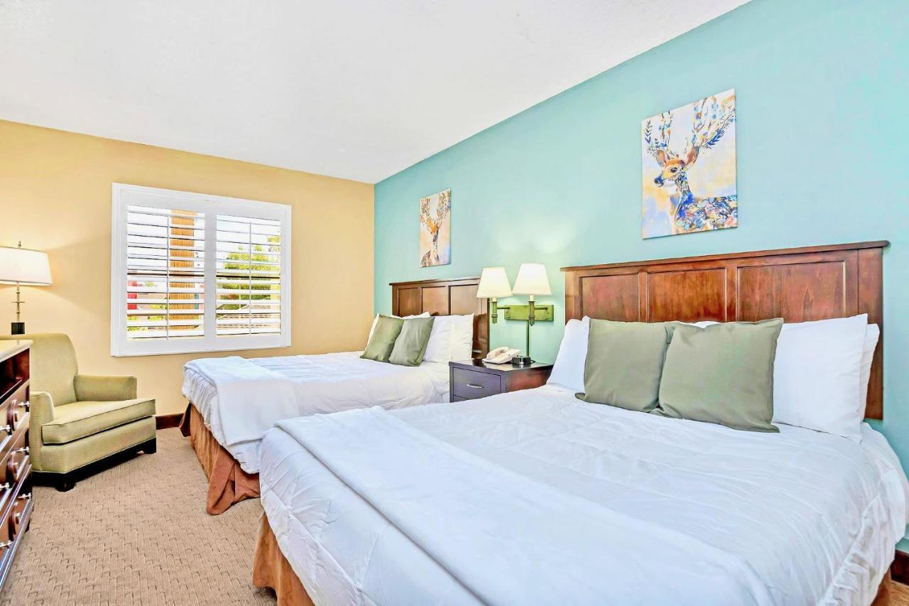 Cozy 1br Apt With 2 Queens W Pool & Hot Tub *