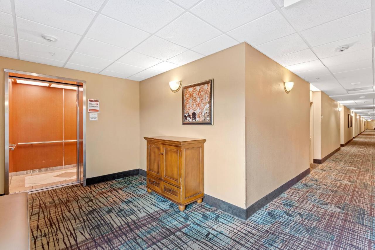Apartment 1br Free Shuttle To Parks Hs305 *