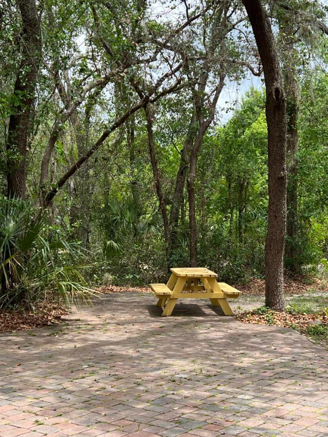 Spacious And Relaxing - Longwood, Florida Holiday home