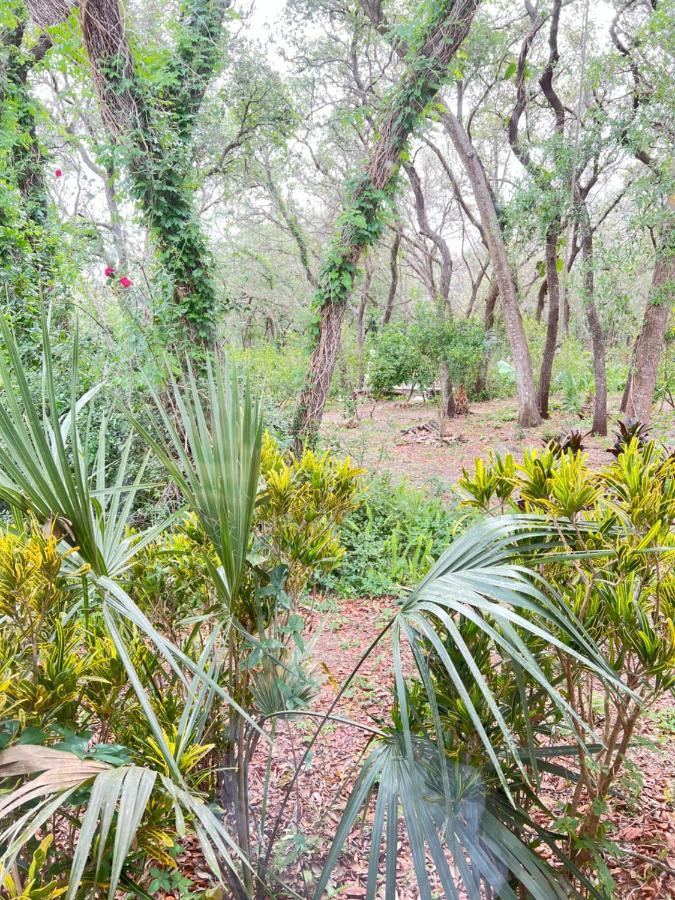 Holiday home Like House, 4 Bedrooms, 3 Bathrooms Orlando