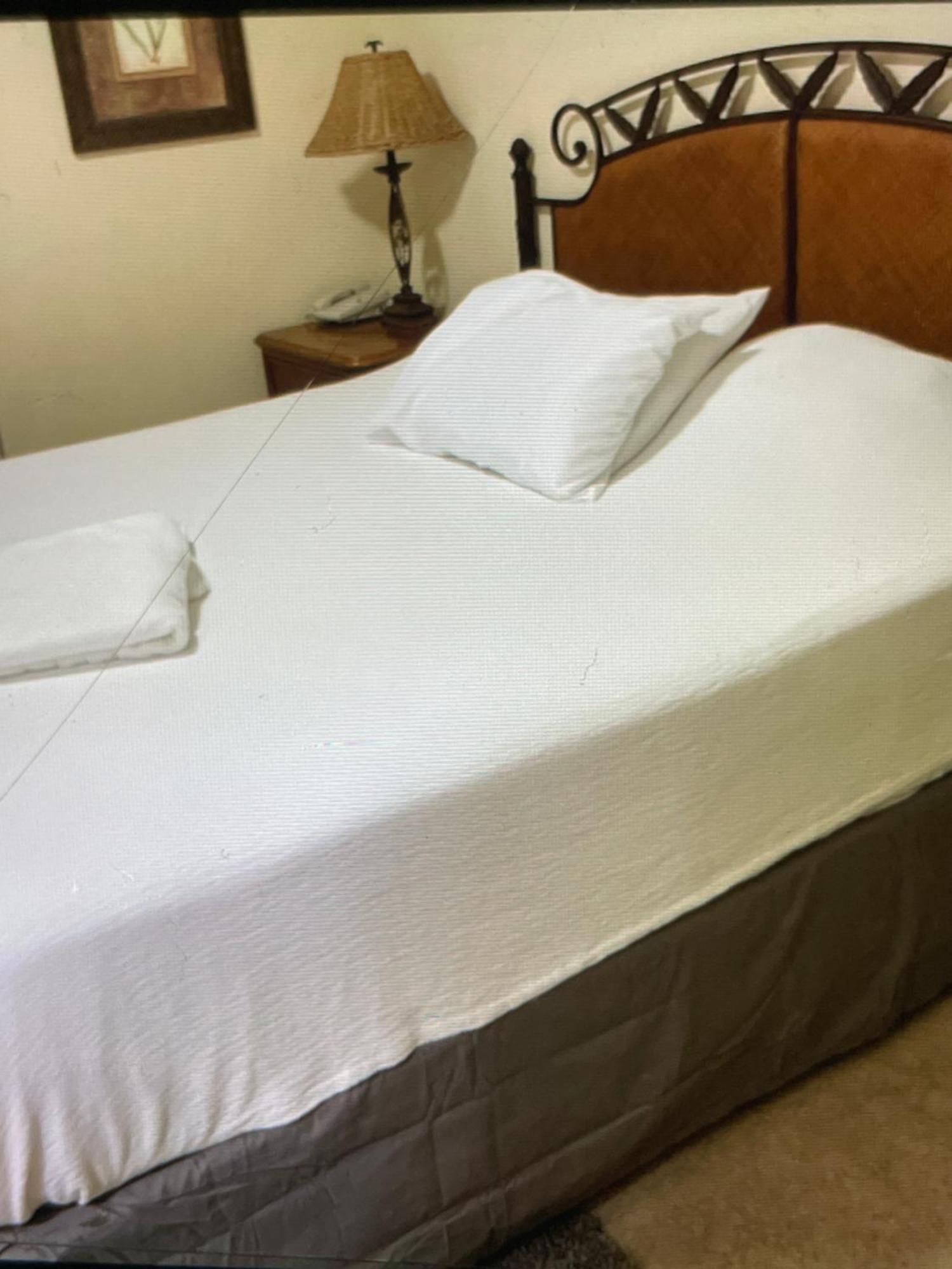 Blue Heron Retreat: Proximity & Dining Convenience Apartment Orlando