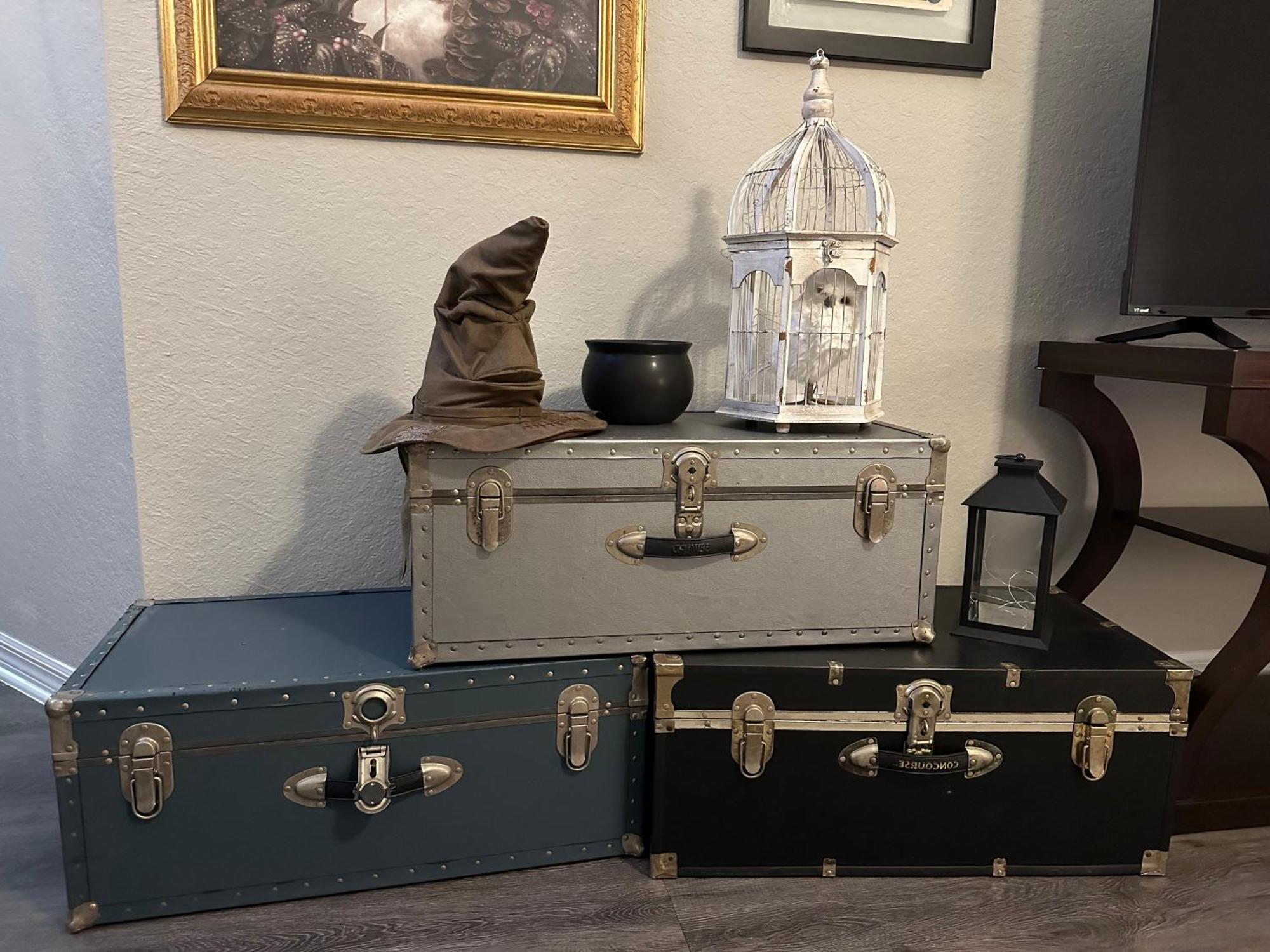 Harry Potter Themed Luxury 3bd 2bth - Universal Apartment