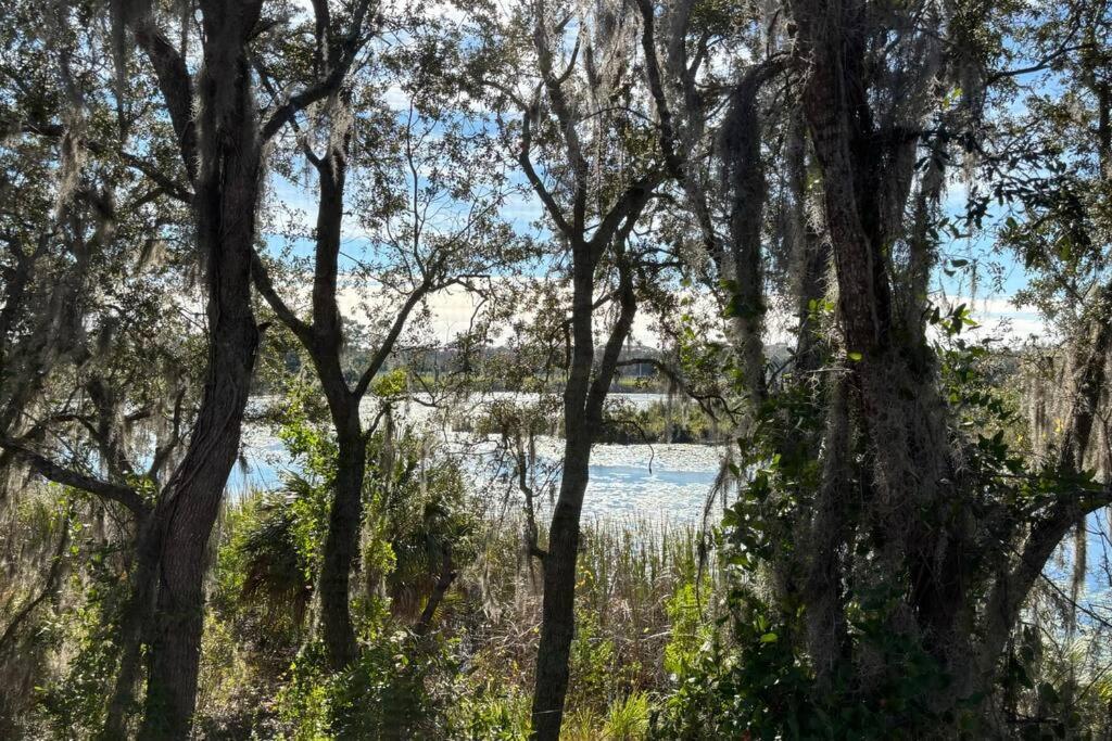 4 Miles To - Serene View Apartment Orlando