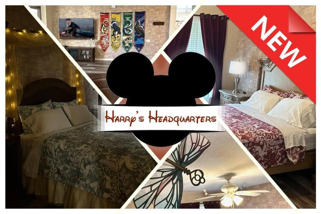 Harry Potter-themed, View, Spacious Near Universal With Extra Amenities