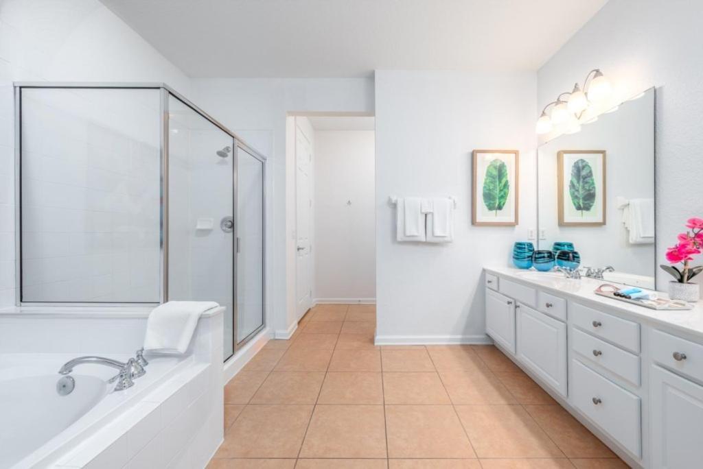 Your Vista Cay Lakeview Allure Orlando