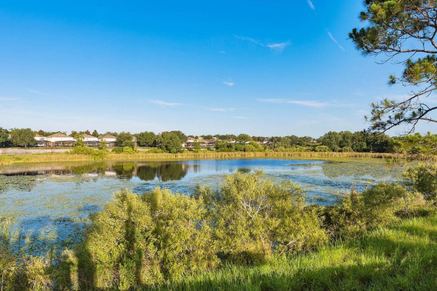 Luxury 3br Retreat Orlando