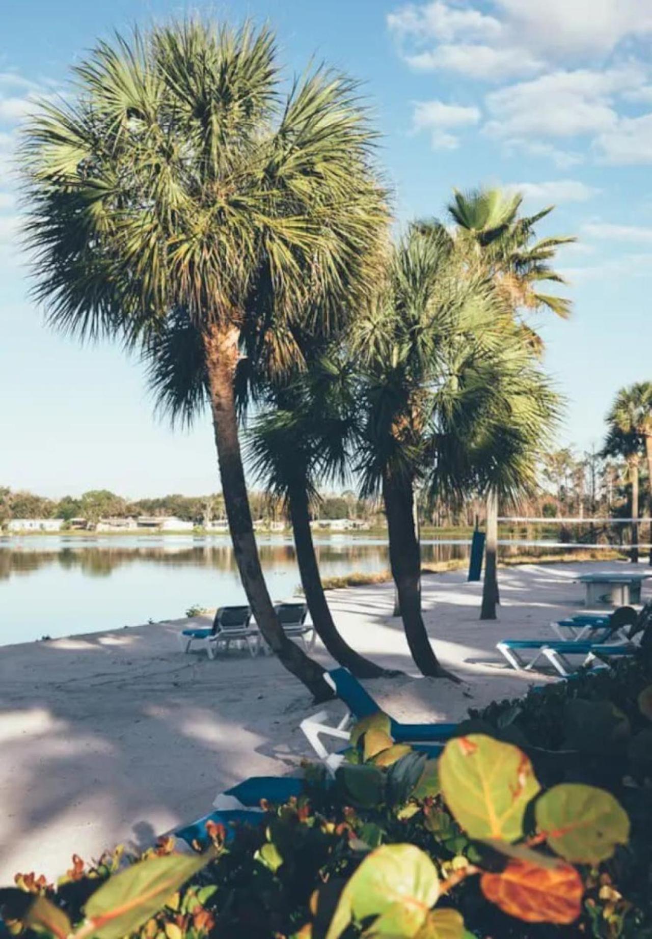Near 1bd Vacation In Beautiful With Lots Of Amenities * Orlando