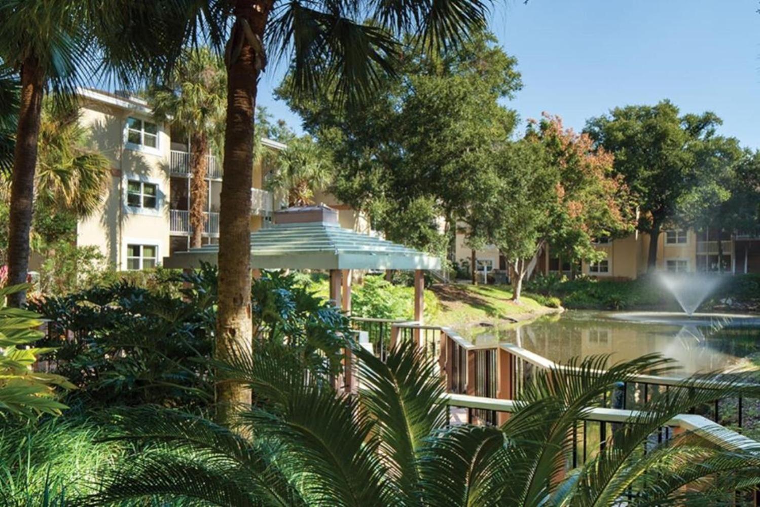 Relax After The Parks In 1bd With Pools, Restaurants, Activities Etc *