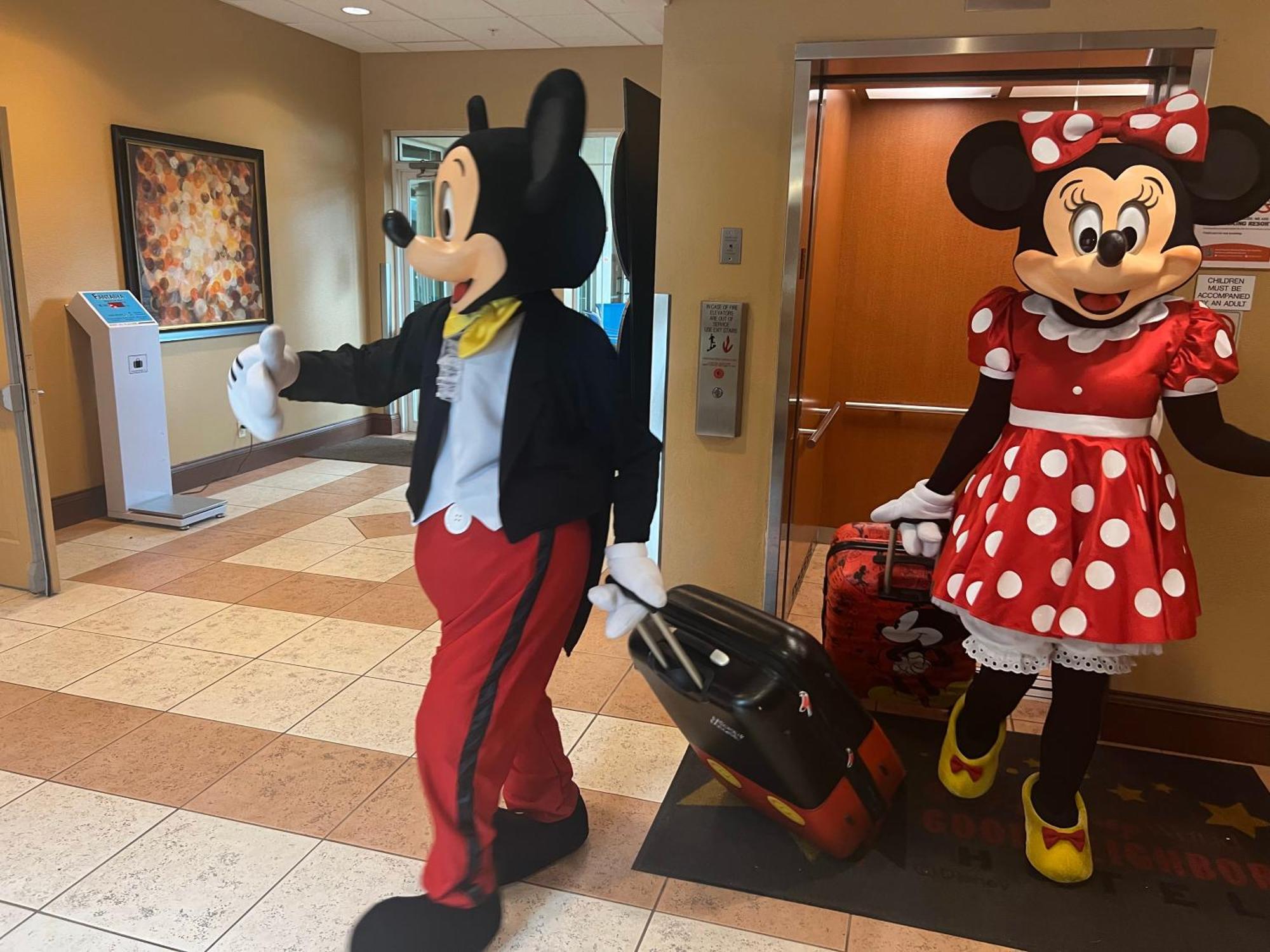 Epic Disney, Universal Shuttle