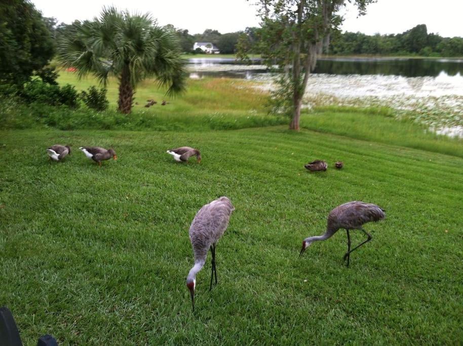 Holiday home Lakefront Where Retreat And Relax *