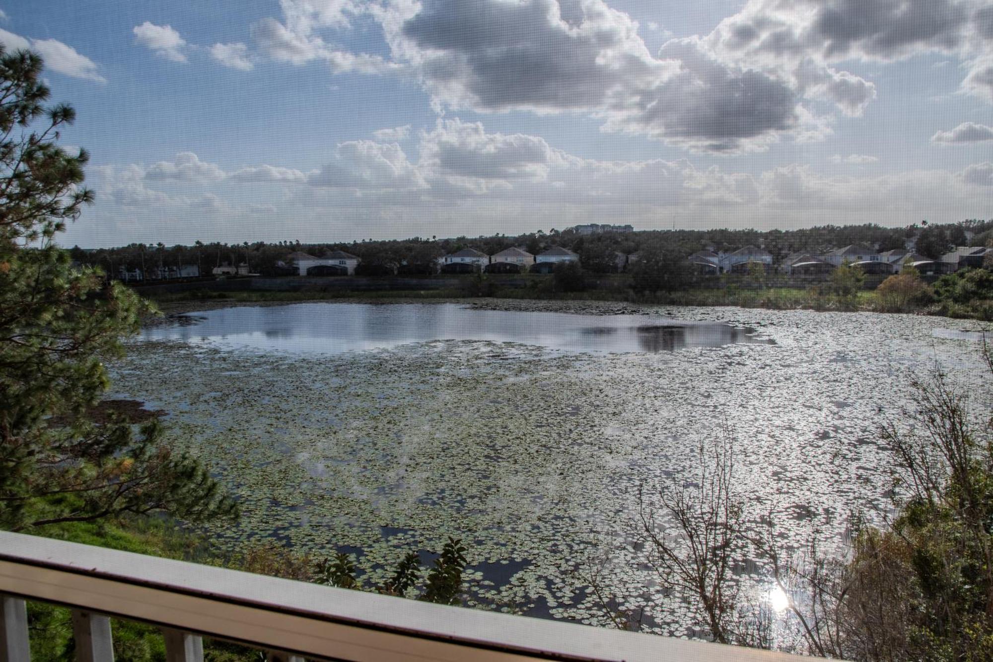 View Near Windsor Hills * Orlando