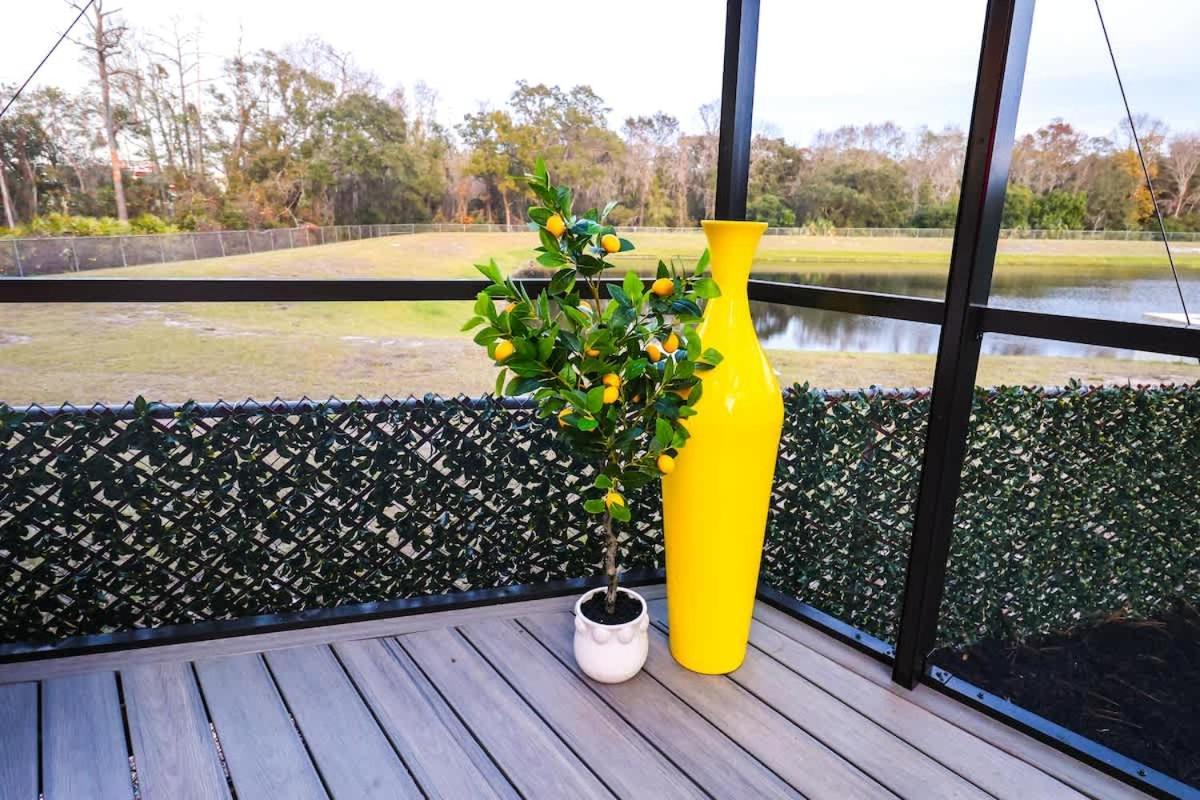 Funtropicaltinygemucf Holiday home Orlando