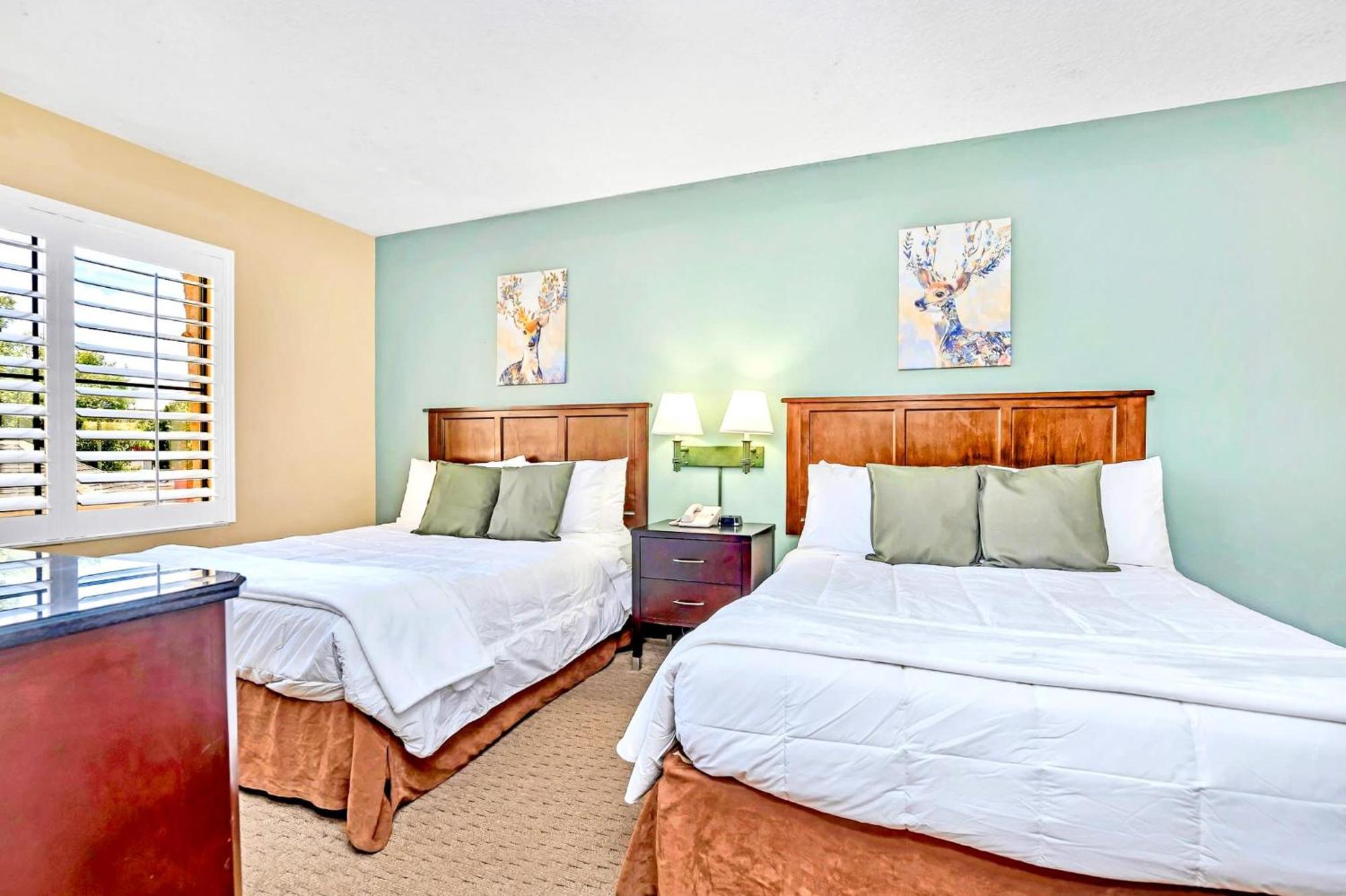 Modern With 2 Queen Beds - Near *