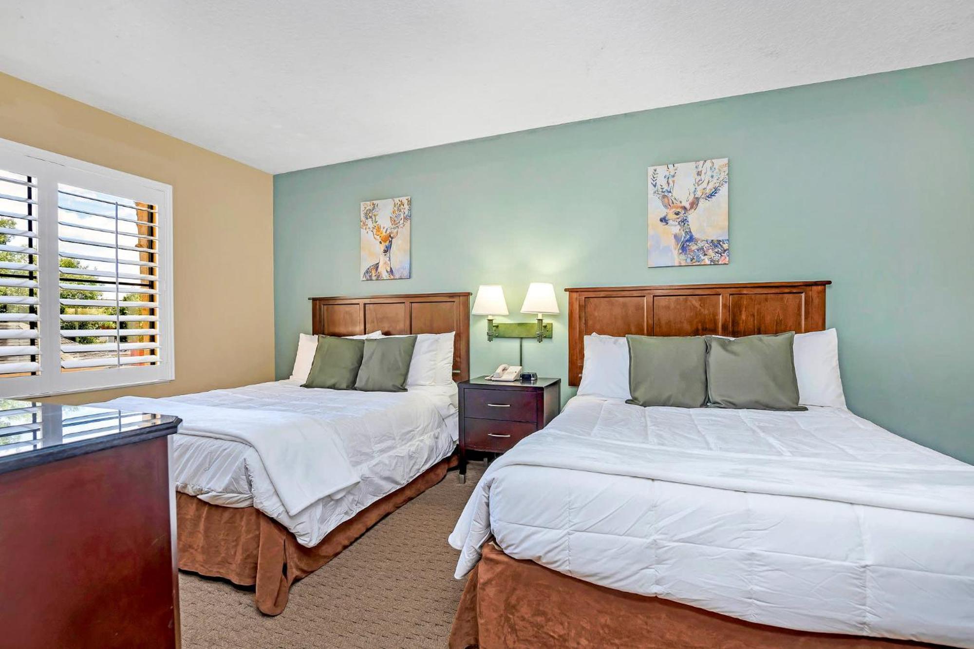 Spacious Queen Near Universal Pool & Hot Tub Apartment *
