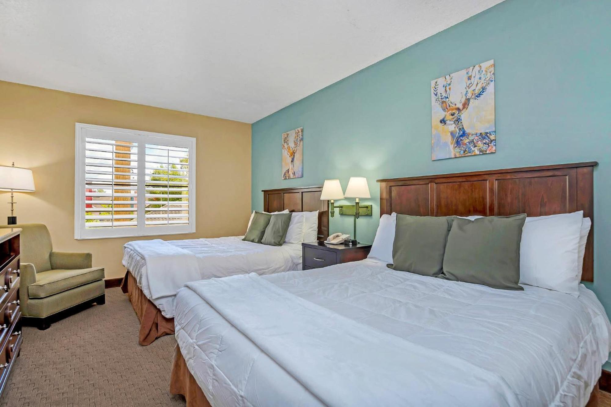Spacious Queen Near Universal Pool & Hot Tub Apartment