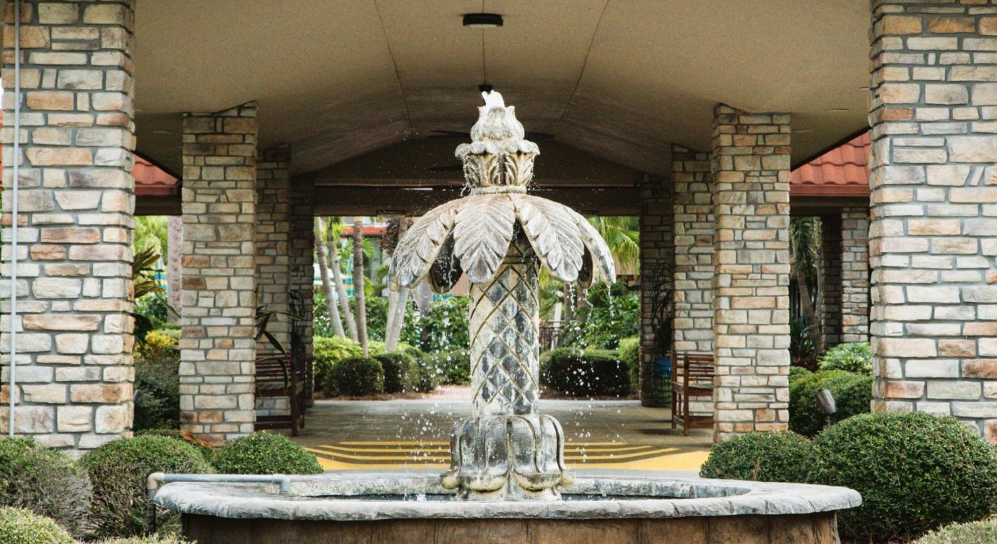 Magic Tree Apartment Orlando