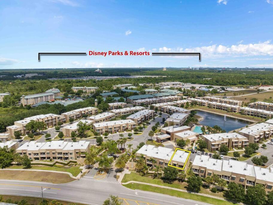 Luxury In Animal Kingdom Backyard Orlando