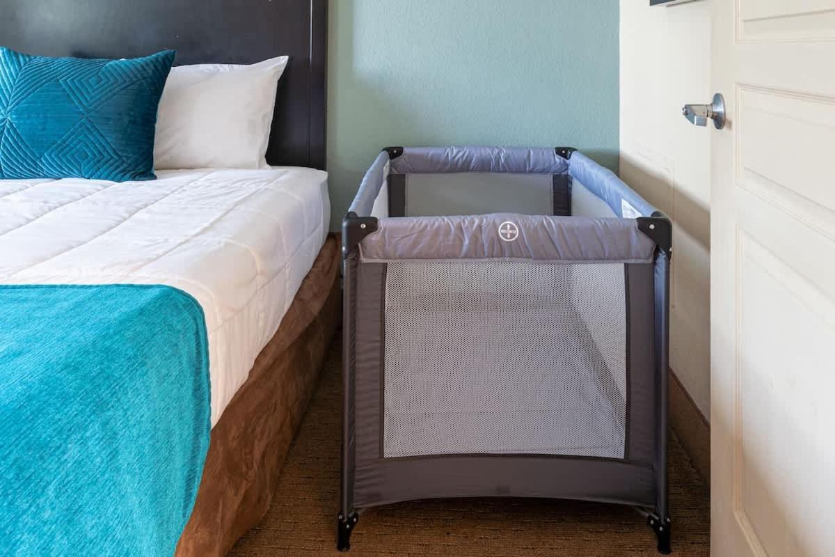 Apartment 1 Bedroom 3 Miles From Springs Hs307