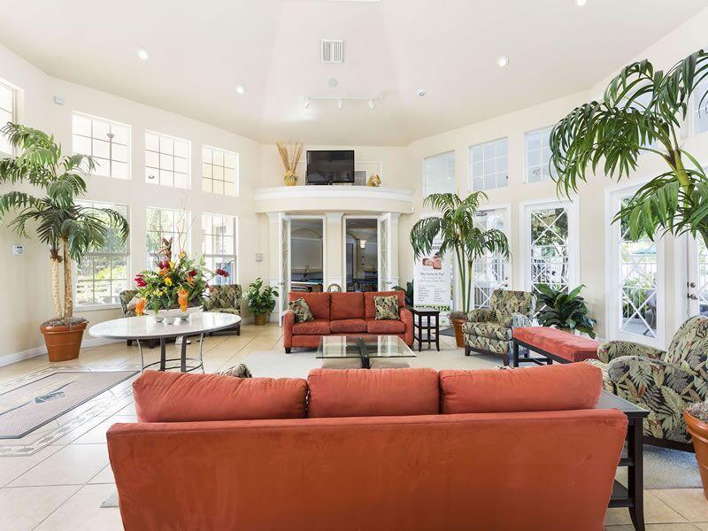 Holiday home Silver Palm Retreat