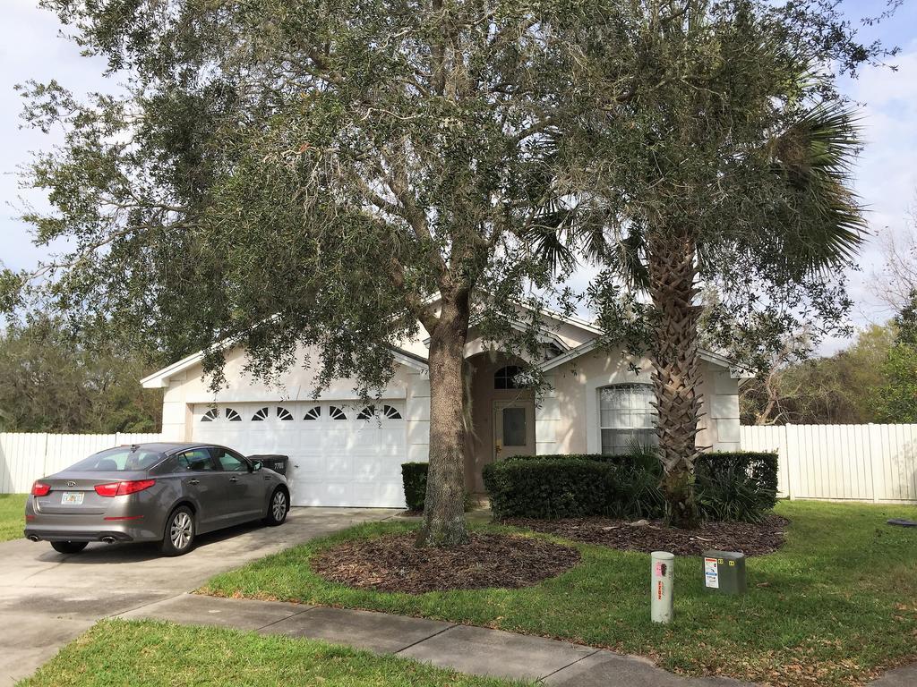 Water Oak Ir700 *