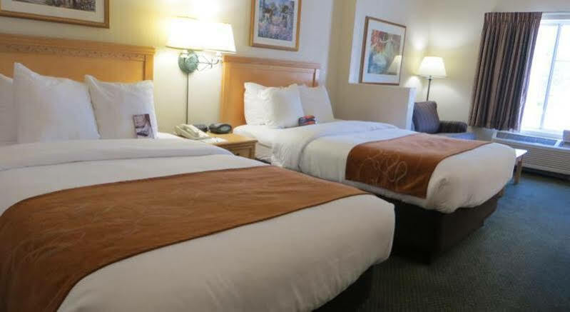 Comfort Downtown Hotel