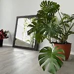 Next To Universal! 2Bedroom-2Bath-Many Indoor Plants