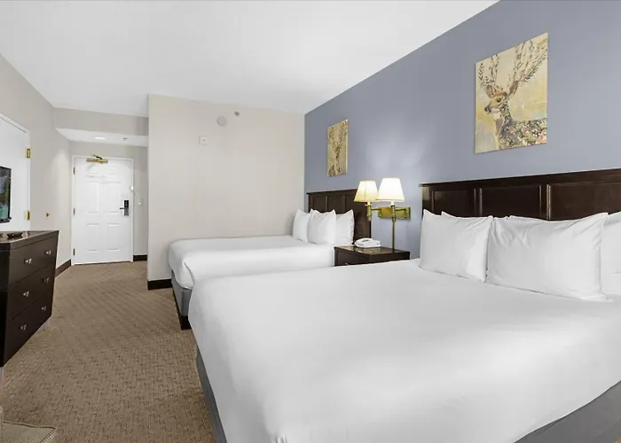 Studio Apartment W Pool & Hot Tub - Near Universal Studio