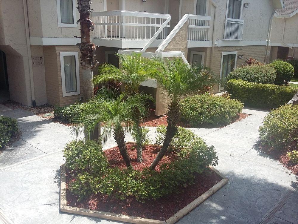 Hawthorn By Wyndham International Drive