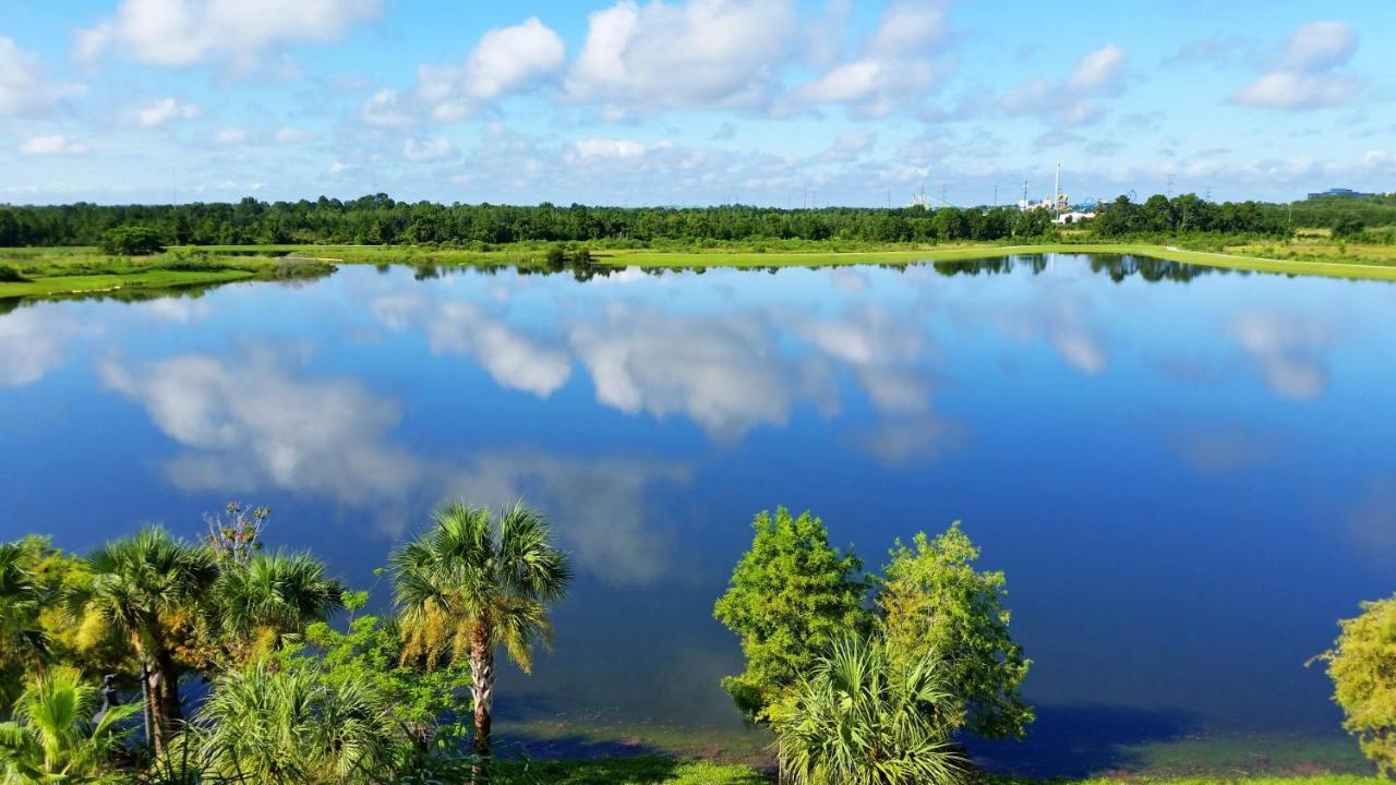 Lakeview Directly Next To Pool Near Wdw Orlando