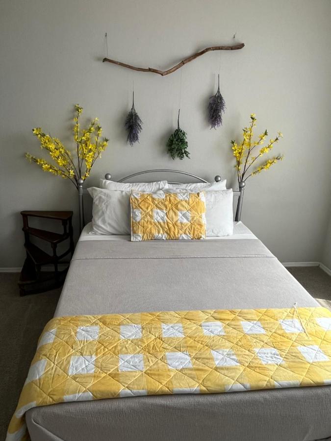 Next To Universal! 2bedroom-2bath-many Indoor Plants Apartment Orlando