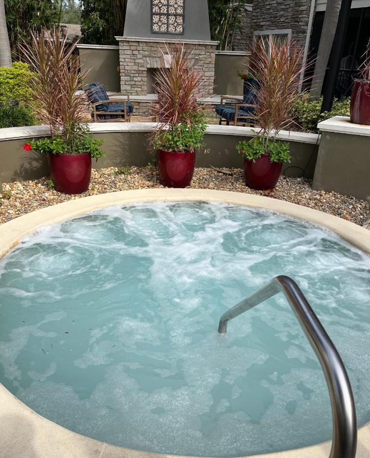 Apartment Next To Universal! 2bedroom-2bath-many Indoor Plants *